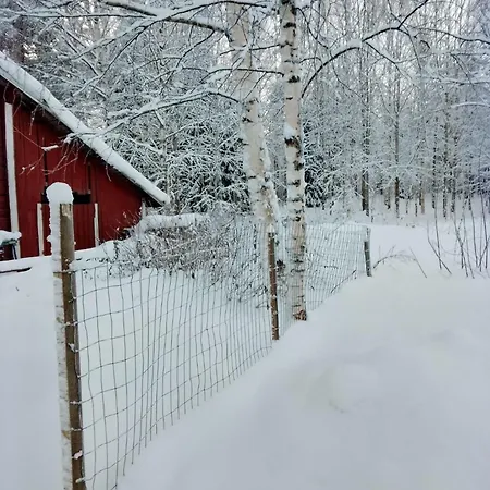 Urlaub Mit Hund Bauernhof In Alleinlage In Finnland
