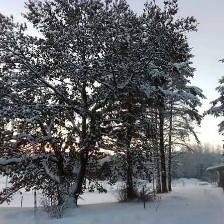 Urlaub Mit Hund Bauernhof In Alleinlage In Finnland Дом отдыха