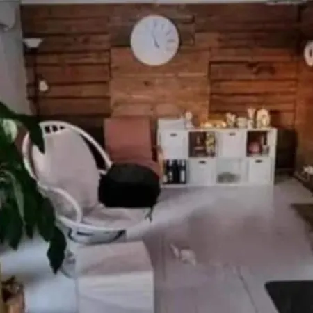 Urlaub Mit Hund Bauernhof In Alleinlage In Finnland Semesterbostad *