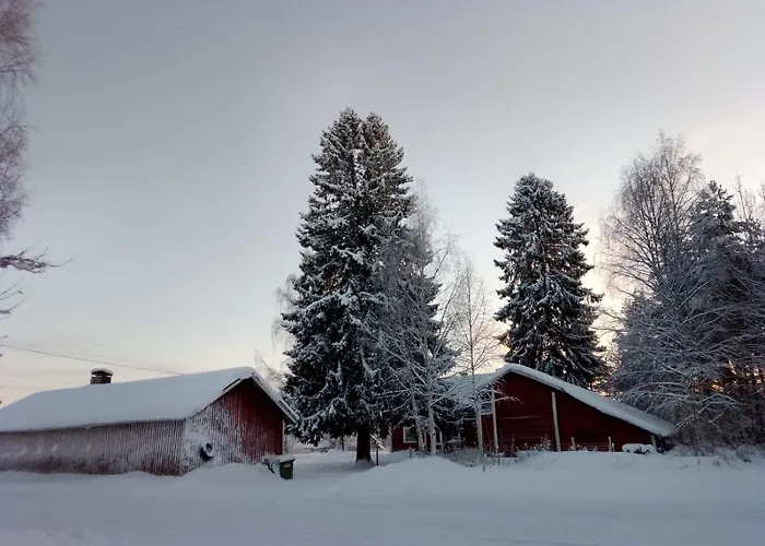 Urlaub Mit Hund Bauernhof In Alleinlage In Finnland * Rääkkylä