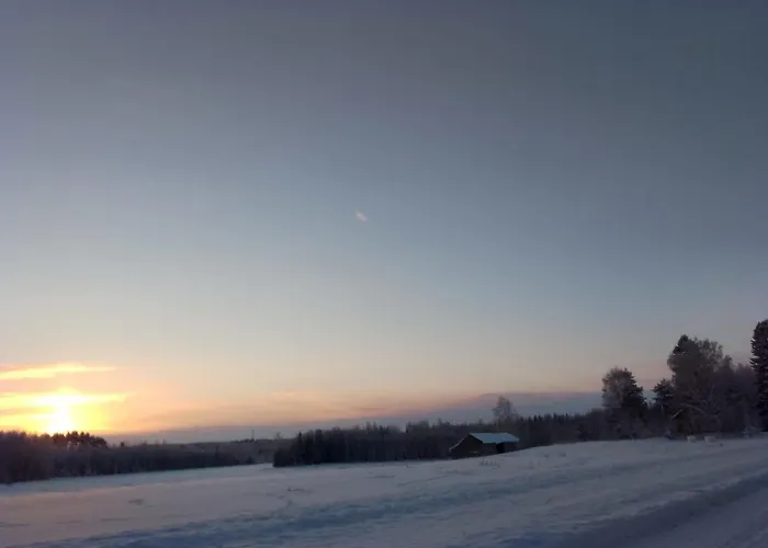 Urlaub Mit Hund Bauernhof In Alleinlage In Finnland