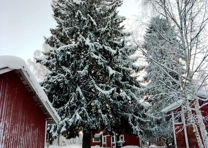 Urlaub Mit Hund Bauernhof In Alleinlage In Finnland * Rääkkylä