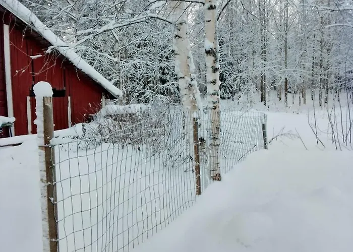 Urlaub Mit Hund Bauernhof In Alleinlage In Finnland