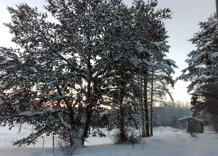 Urlaub Mit Hund Bauernhof In Alleinlage In Finnland 別荘