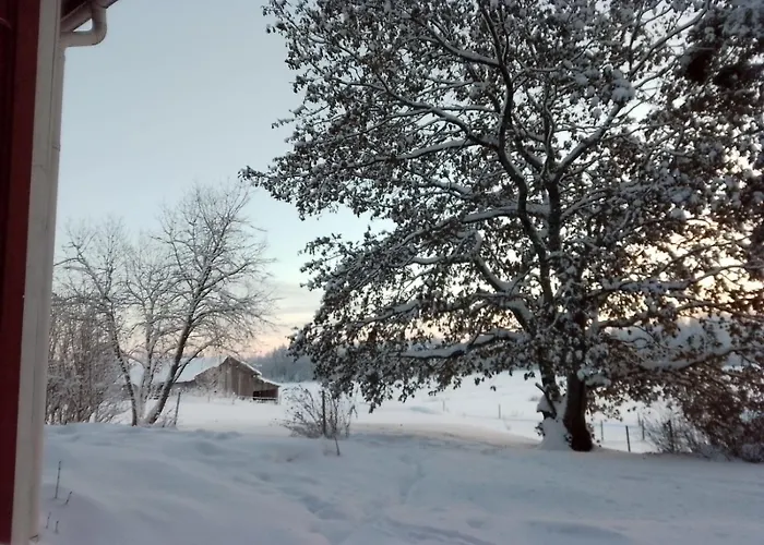 펜션 Urlaub Mit Hund Bauernhof In Alleinlage In Finnland Rääkkylä