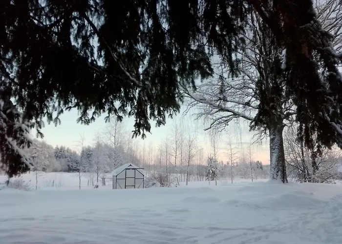 Urlaub Mit Hund Bauernhof In Alleinlage In Finnland * Rääkkylä